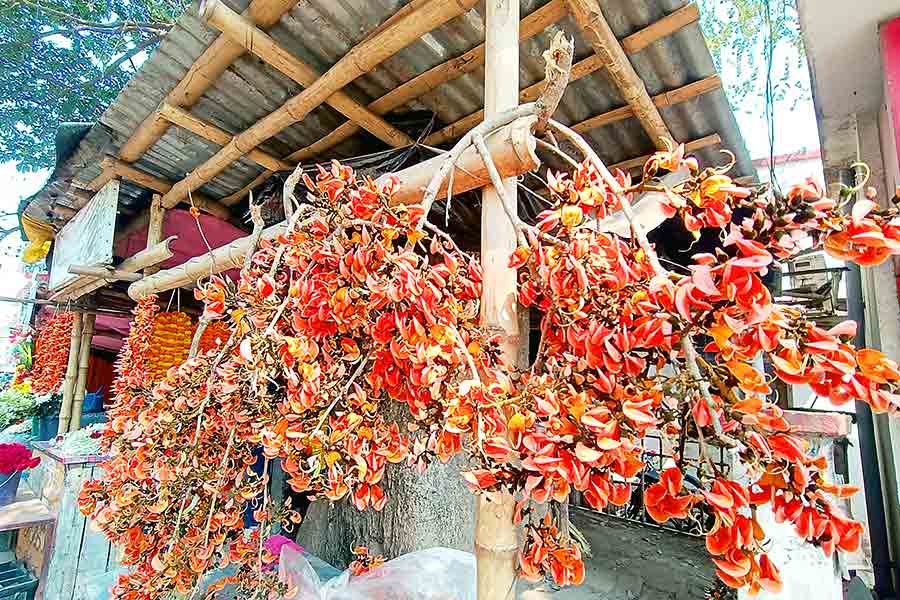 সিউড়ির বড় ডাকঘর মোড়ে ডাল সমেত পলাশ বিক্রি। সোমবার।  ছবি: তাপস বন্দ্যোপাধ্যায়