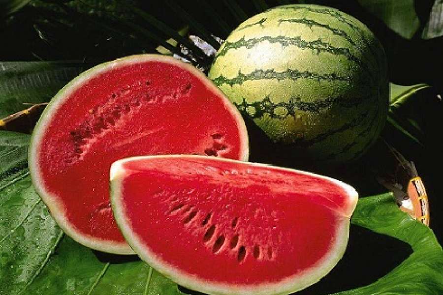 Image of watermelon