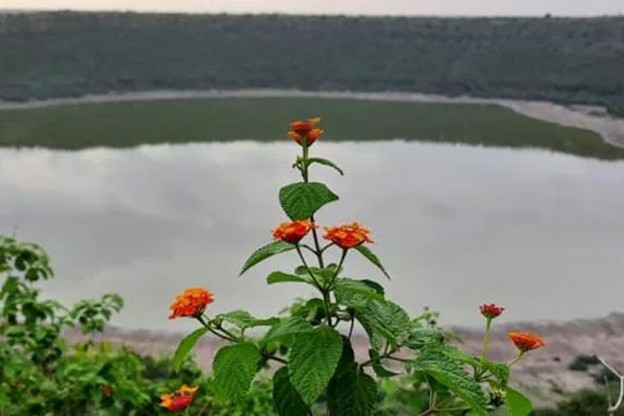 Picture of Lonar Crater Lake
