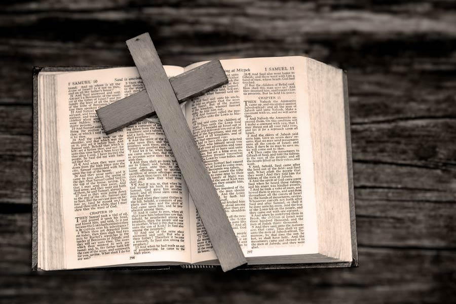 বৈদিক দর্শন ছাড়াও খ্রিস্টান এবং ইসলাম ধর্ম সম্পর্কেও জ্ঞান আহরণ করেন শোভিত। তবে, কলেজের পড়াশোনার পর রাজধানীর একটি বেসরকারি সংস্থার সঙ্গে যুক্ত হন তিনি।