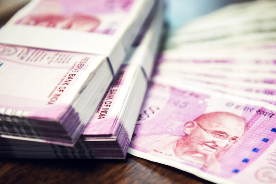 ৫০ জন কর্মীকে নিয়ে শুরু করা সংস্থা থেকে এখন বার্ষিক আয় হয় ১২০ কোটি টাকা। বর্তমানে সংস্থার সঙ্গে মোট ২৫০ জন কর্মী যুক্ত রয়েছেন। 