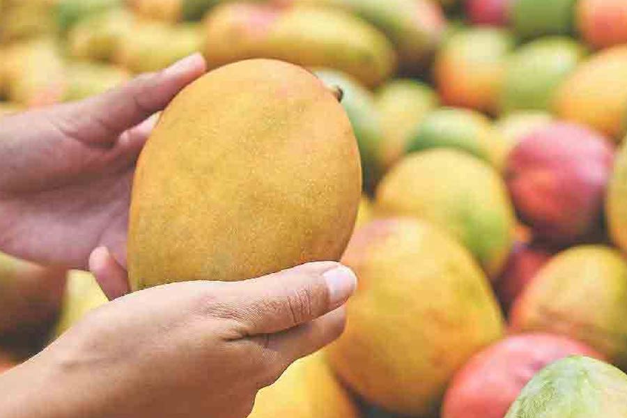 An image of Mango