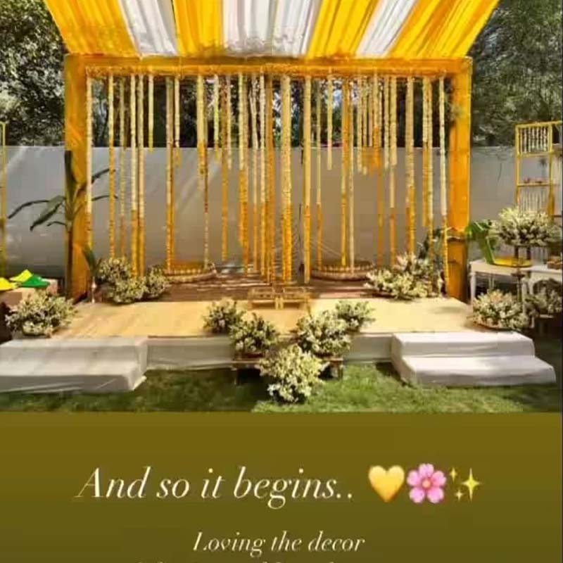 screenshot from a story posted by Swara Bhasker.