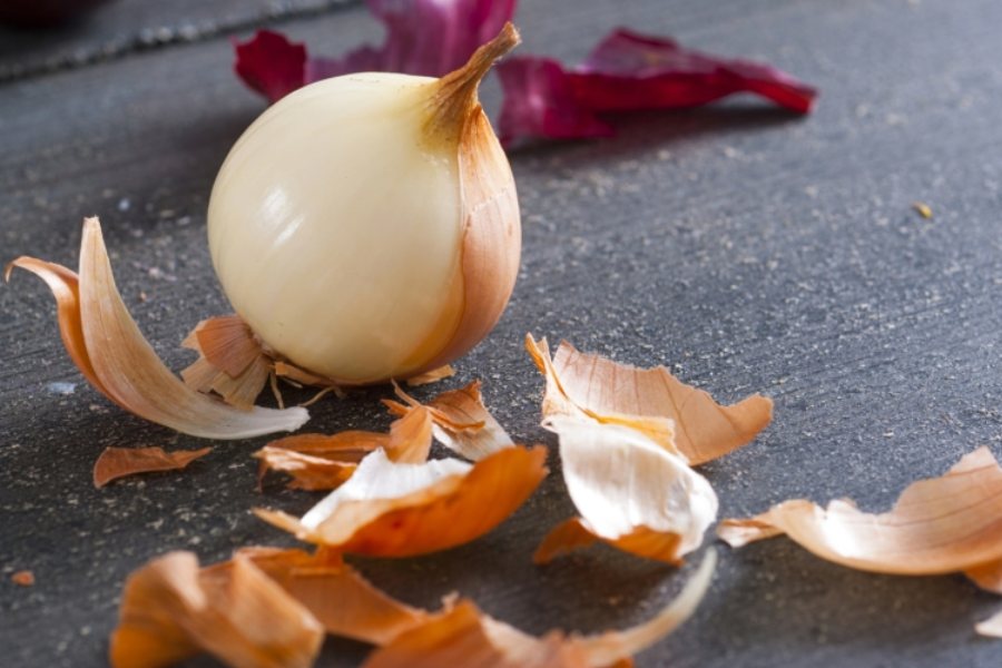image of onion peel