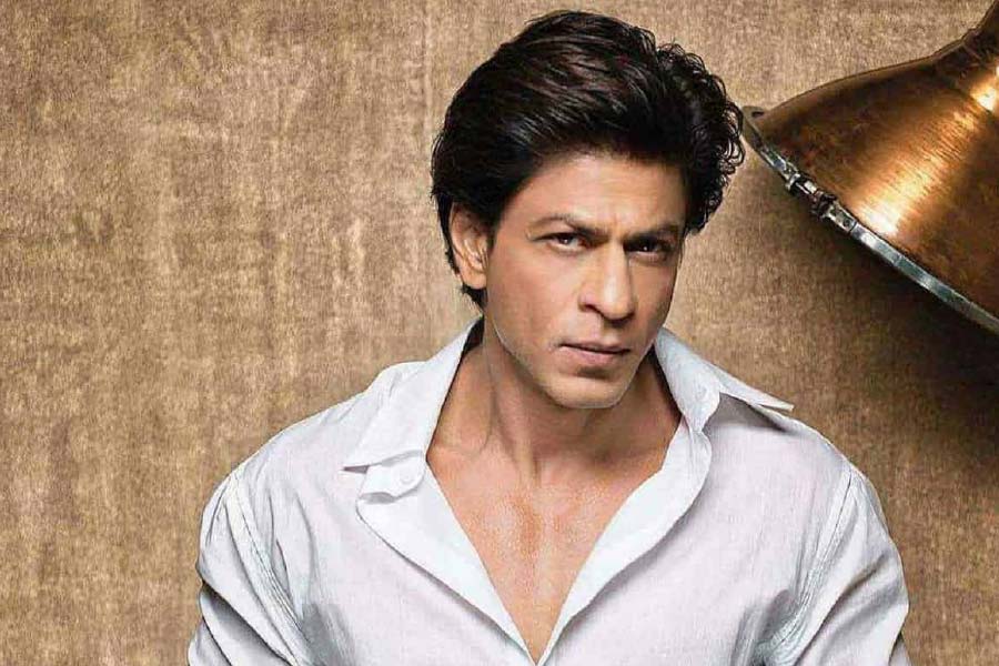 হানির দাবি, চড় মারার খবরটি পুরোপুরি মিথ্যা। কিন্তু বলিপাড়ায় এখনও কানাঘুষো শোনা যায় যে, শাহরুখ নাকি সত্যি সত্যিই হানিকে চড় মেরেছিলেন। 