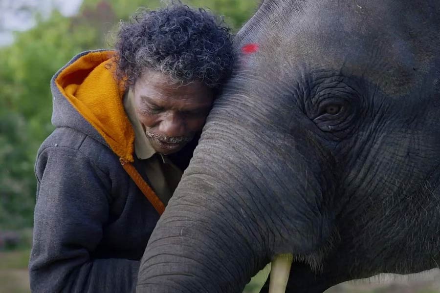 How Films get nominated for Oscars and how the voting system works.