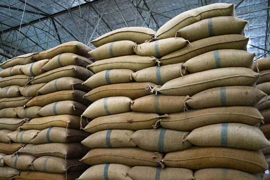 representative photo of rice