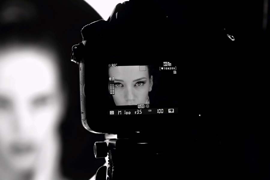 Porn Industry income.