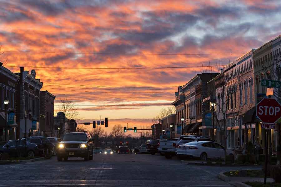 নিউ অ্যালবানির প্রতিটি বাড়ির উপার্জন ২ লক্ষ ডলার। ভারতীয় মুদ্রায় যার পরিমাণ ১ কোটি ৬৫ লক্ষ টাকা। সেখানেই ৬০ হাজার বর্গফুটের একটি প্রাসাদে বাস করেন লেসলি।