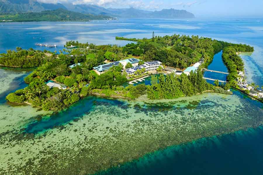 লানাই কেনার পর রাতারাতি এই জায়গার ভোল বদলে ফেলেন ল্যারি। লানাইয়ে বহু বিলাসবহুল পাঁচতারা হোটেল তৈরি করেন তিনি। তৈরি করেন বিলাসবহুল রিসর্ট।