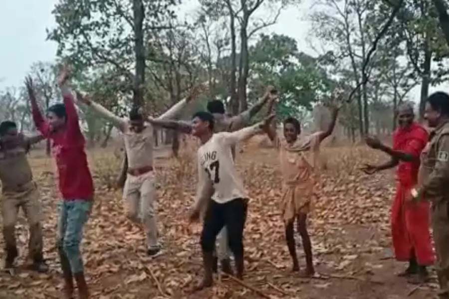 forest personnel dancing in joy.