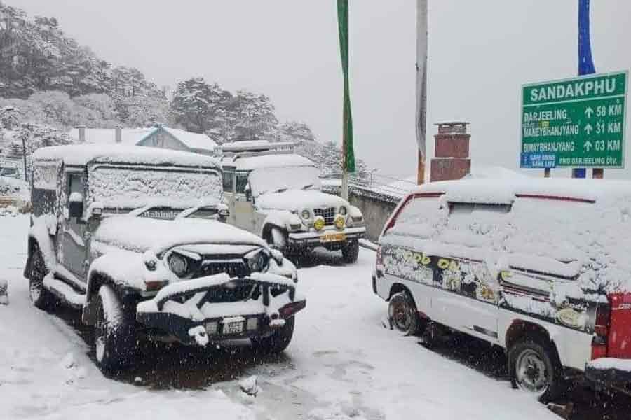 Snowfall starts in Sandakphu