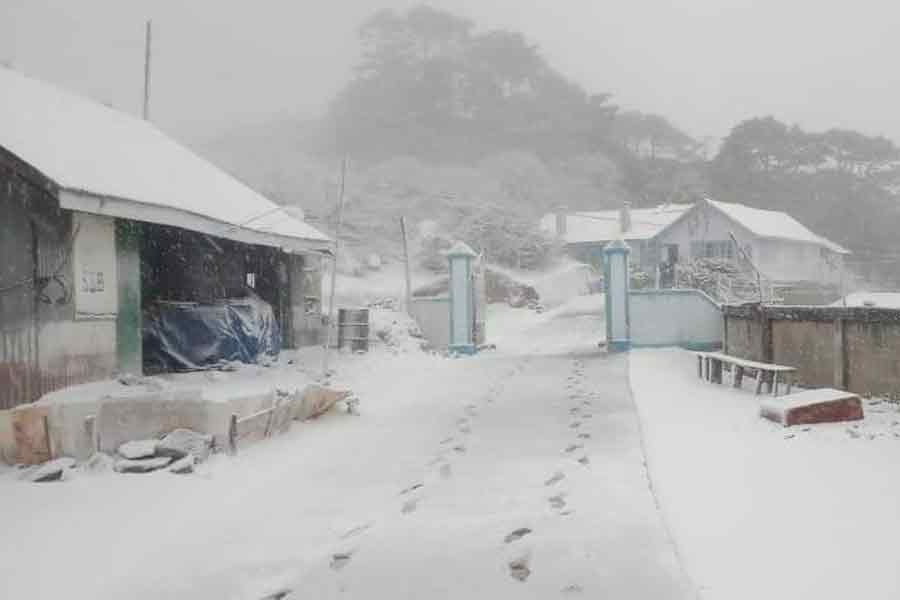 Snowfall starts in Sandakphu