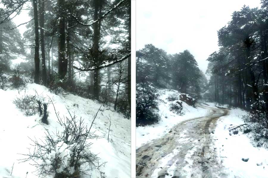 Again snowfall halts the daily life in Sandakphu