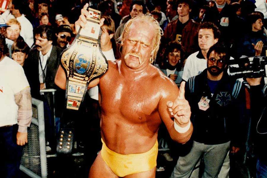 picture of Hulk Hogan