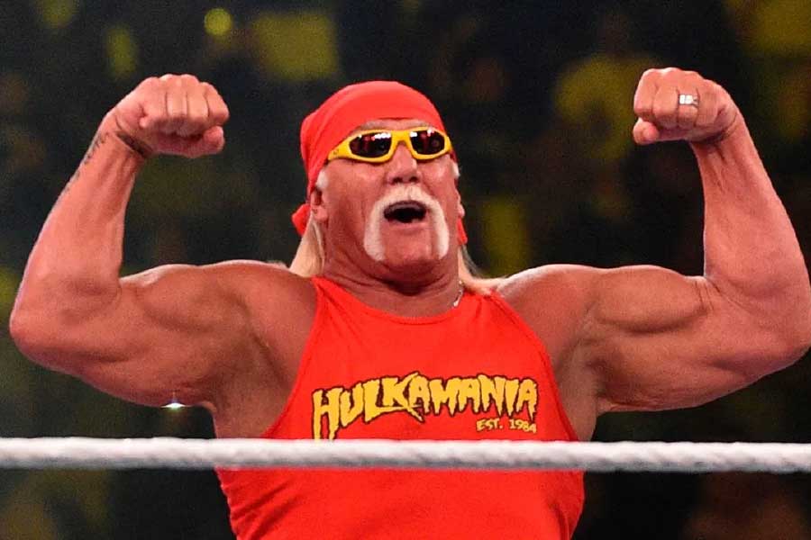 picture of Hulk Hogan