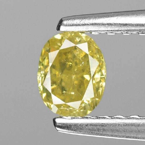 কিন্তু ইন্টারন্যাশনাল আর্ট মিউজিয়াম অফ আমেরিকার ট্রেজার রুম আবার অন্য নথি দিয়েছে। তাদের মতে, ফ্লোরেন্টাইন হিরেটি দক্ষিণ আমেরিকায় ছিল। সেখানে বার বার হাতবদলের সঙ্গে সঙ্গে বদলে গিয়েছিল হিরের আকৃতিও। তার পর তা আবার আমেরিকায় ফিরে আসে।