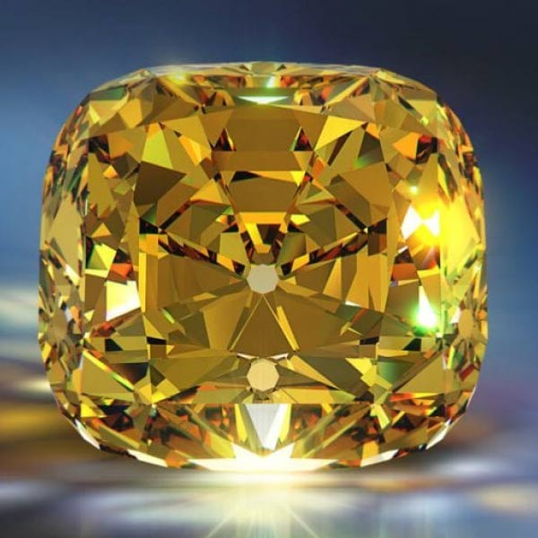 ফ্লোরেন্টাইন হিরের সঙ্গে জড়িয়ে রয়েছে ভারতের ইতিহাসও। দক্ষিণ ভারতে যখন বিজয়নগর সাম্রাজ্যের রাজত্ব চলছিল তখন তাদের সংগ্রহে ছিল এই হিরেটি। পরে নাকি এই হিরে ইটালির এক ব্যবসায়ীর হাতে আসে। তবে এই বিষয়ে ইতিহাসের পাতায় কোনও উল্লেখ নেই। কোনও তথ্যপ্রমাণও পাওয়া যায়নি।