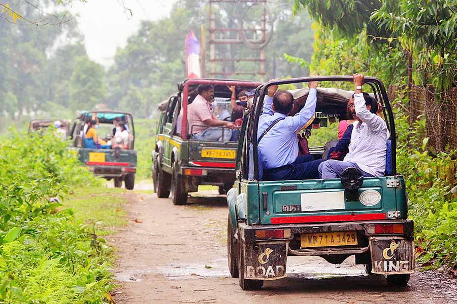 The Forest Department is being more strict with the vehicles for Jungle Safari