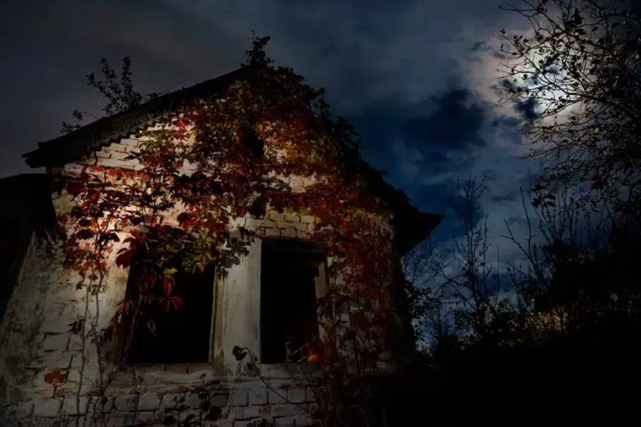 ভাঙাচোরা গেট। দরজা আর জানলা আঁকড়ে রেখেছে মাকড়সার জাল। কেরলের কোচির এক গ্রামে ২০ নম্বর বাড়িতে গত ২৩ বছর ধরে কারও পা পড়ে না। তবে প্রতিবেশীরা মানতে নারাজ। জানিয়েছেন, ওই বাড়িতে রাতের অন্ধকারে ‘তেনাদের’ আনাগোনা বেড়ে যায়। কেউ নাকি আবার পিয়ানোতে সুরও ভাজে। রাতে ওই ২০ নম্বর বাড়ির আশপাশে পারতপক্ষে স্থানীয়রা যাতায়াত করেন না। কেরলে এ রকম ‘ভূতুড়ে বাড়ি’র সংখ্যা নেহাত কম নয়। এর জন্য অনেকেই সরকারকেই দায়ী করেন।