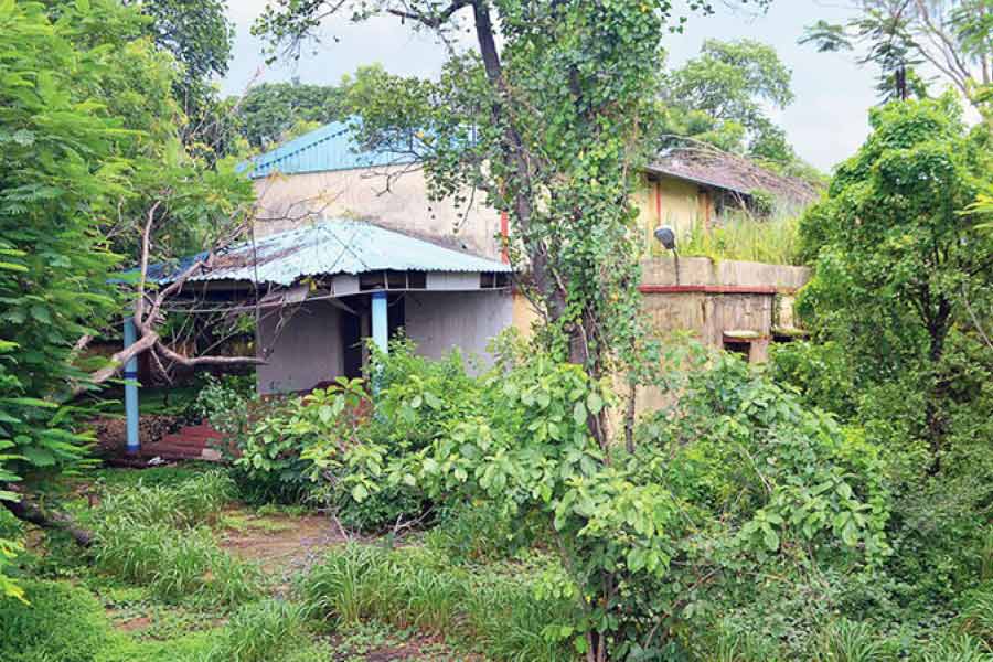 পূর্বপুরুষের ভেঙে পড়া ভিটে থেকে হাল আমলে তৈরি ঝাঁ চকচকে বাংলো— কেরলে পরিত্যক্ত বাড়ির তালিকায় রয়েছে সবই। বাড়ির মালিকদের বেশির ভাগই থাকেন প্রবাসে। এ সব বাড়িতে বিদ্যুৎ সংযোগ, জল— সবই রয়েছে। ২০১১ সালের জনগণনার পরিসংখ্যান বলছে, কেরলে মোট এক কোটি বাড়ির মধ্যে ১১ শতাংশই পরিত্যক্ত অবস্থায় পড়ে রয়েছে। যেখানে গোটা দেশে যত বাড়ি রয়েছে, তার মধ্যে ৭.৪৫ শতাংশ পরিত্যক্ত। গড় বিচার করলে গোটা দেশের থেকে পরিত্যক্ত বাড়ির নিরিখে এগিয়ে কেরল।