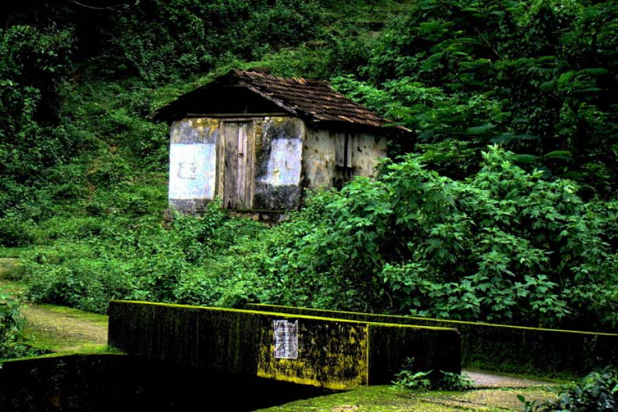 এই পরিত্যক্ত বাড়ি তৈরি নিয়ে কেন কড়া কোনও পদক্ষেপ করতে চায় না কেরল সরকার? কেন বাজেট অধিবেশনের সময় প্রস্তাব এনেও খারিজ করে দিতে হয়? উত্তর হল, এই নিয়ে কড়াকড়ি করলে রাজ্যের অর্থনীতি ধাক্কা খাবে।