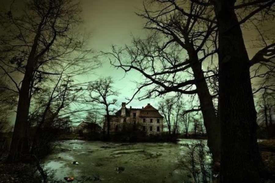 প্রবাসে গিয়ে টাকা রোজগার করে মালয়ালিরা দেশে পাঠান। সেই টাকায় প্রথমেই বিলাসবহুল বাড়ি তৈরি করেন তাঁদের আত্মীয়স্বজন। মালয়ালিদের কাছে দেখনদারির অন্যতম উপায় হল এক বা একাধিক বিলাসবহুল বাড়ি তৈরি বা ক্রয়। কেরল রীতি মেনে ঢালু চালের বাড়ি, সামনে বাগান, সুইমিং পুল, বিশাল বারান্দা— কেরলের প্রায় সব শহরে, গ্রামে এ ধরনের বাড়ি আকছাড় দেখা যায়। সেগুলির বেশির ভাগই বছরের পর বছর পড়ে রয়েছে।