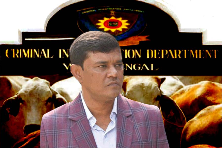 Cow smuggling case: CID summons a man who is allegedly close to arrested Enamul Haque