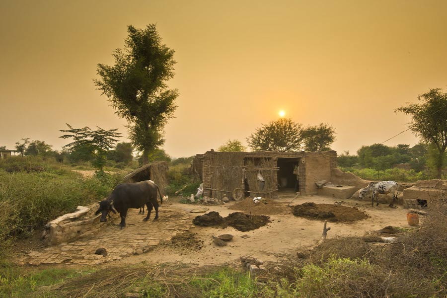 জাভেদের জন্ম ১৯৫৬ সালে। এক মুঘল মুসলিম পরিবারে। জাভেদের বাবা-মায়ের আট সন্তানের মধ্যে তিনি ছিলেন ষষ্ঠ। জাভেদের বাবা এক জন ব্যবসায়ী ছিলেন।