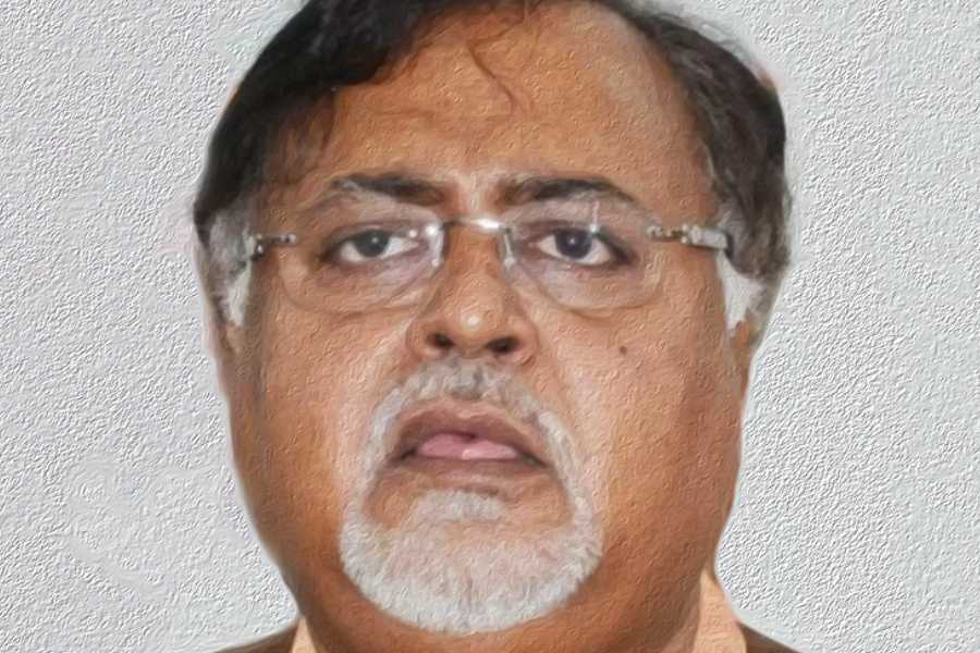 Picture of Partha Chatterjee