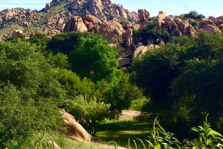 স্থানীয়েরা দাবি করেন যে, পেরাল্টা পরিবারের খুদে সদস্য ছাড়াও খনির ব্যাপারে জানতেন থর্ন নামে এক চিকিৎসক। থর্ন নাকি এক অসুস্থ রোগীকে মরণাপন্ন অবস্থা থেকে বাঁচিয়ে তুলেছিলেন। তবে তাঁকে রোগীটি কোনও পারিশ্রমিক দেননি। বরং থর্নের চোখ বেঁধে দেন তিনি। তার পর পাহাড়ি রাস্তা দিয়ে হাঁটিয়ে হাঁটিয়ে কোথাও এক অজানা জায়গায় নিয়ে যান বলে জানিয়েছেন স্থানীয়েরা। 