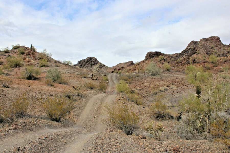 অ্যাডল্‌ফের পুত্র এরউইন সোনার খনির কথা জানিয়েছিলেন তাঁর বাবাকে। এরউইন সেই খনির একটি মানচিত্রও জোগাড় করে এনে দিয়েছিলেন। এর আগে ক্যালিফোর্নিয়ার একটি খনির সন্ধানে দুর্ঘটনার শিকার হন অ্যাডল্‌ফ। যাত্রাপথে অ্যা়ডল্ফের পা ভেঙে যায়। পায়ে ধাতব পিন বসাতে হয়। দুর্ঘটনার পর লাঠিতে ভর দিয়ে হাঁটাহাঁটি করতেন অ্যাডল্‌ফ। কিন্তু পুত্রের কাছে সোনার খনির কথা শোনার পর আর লোভ সামলাতে পারেননি তিনি। বেরিয়ে পড়েন সোনার খনির খোঁজে।