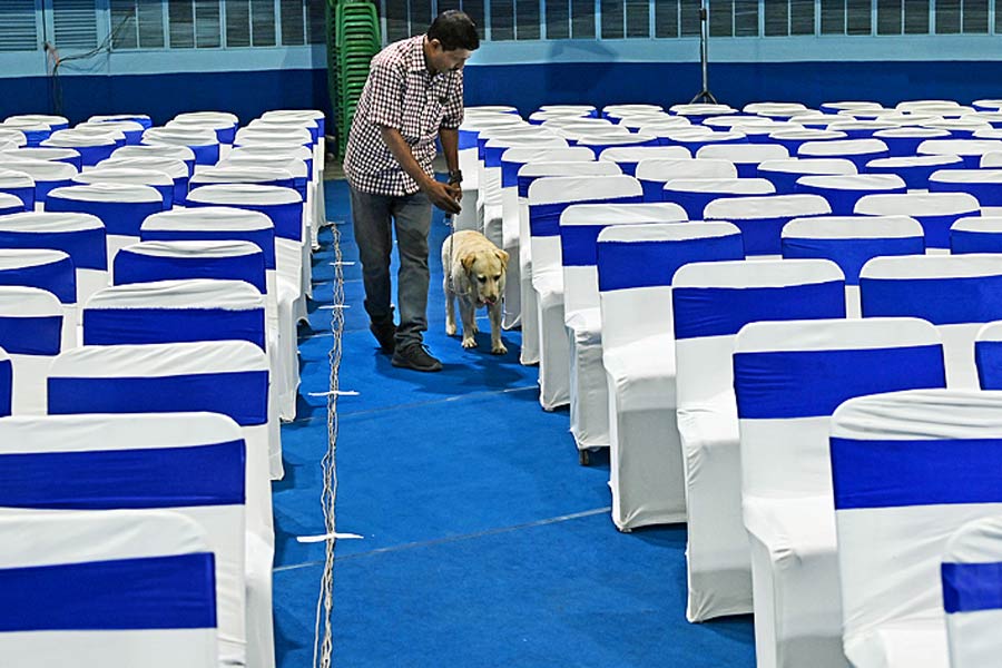A Photograph of a dog speculating inside of the Netaji Indoor Stadium