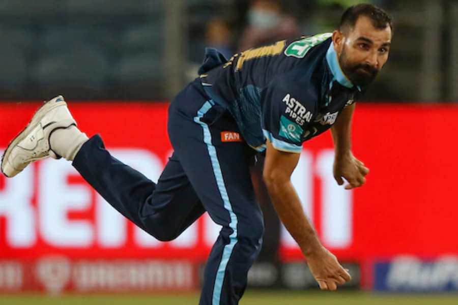 Picture of Mohammed Shami