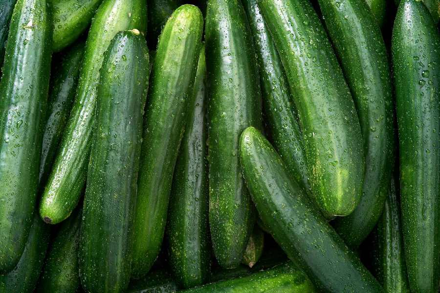 Image of cucumber 