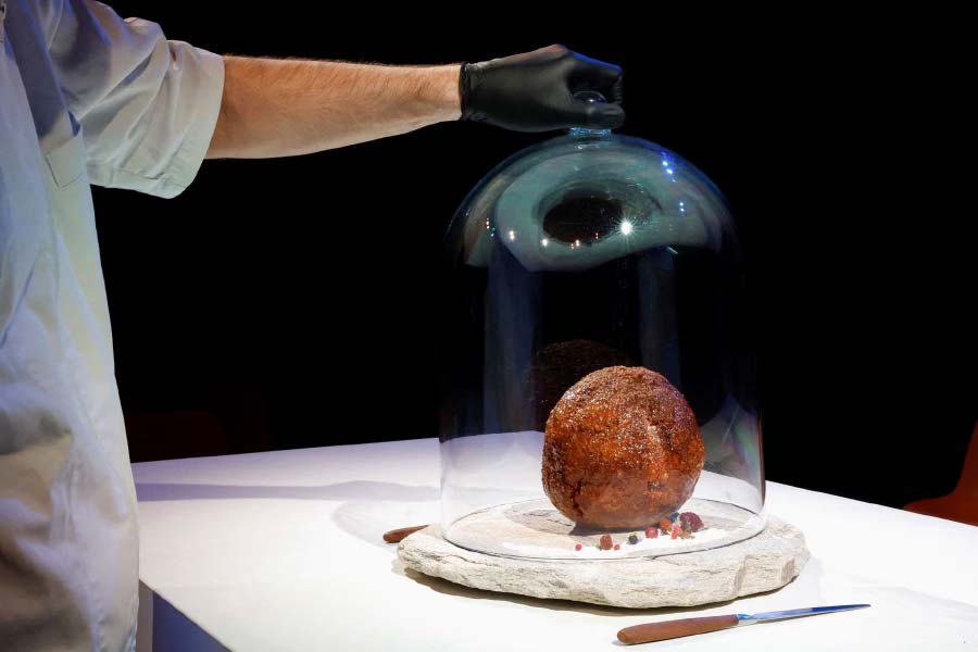 Giant meatball of extinct mammoth unveiled in the Netherlands
