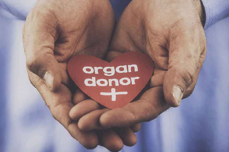 A Photograph representing Organ Donation