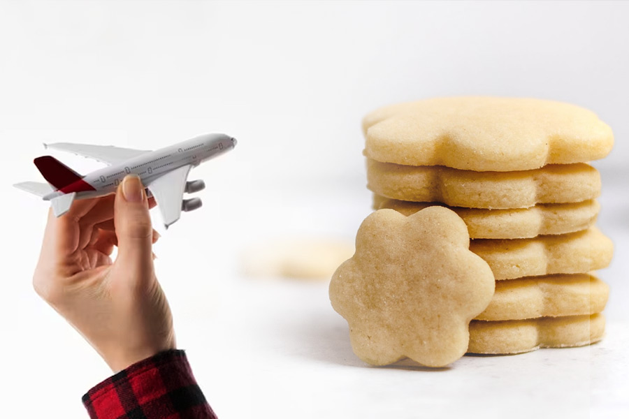 representative photo of airline business