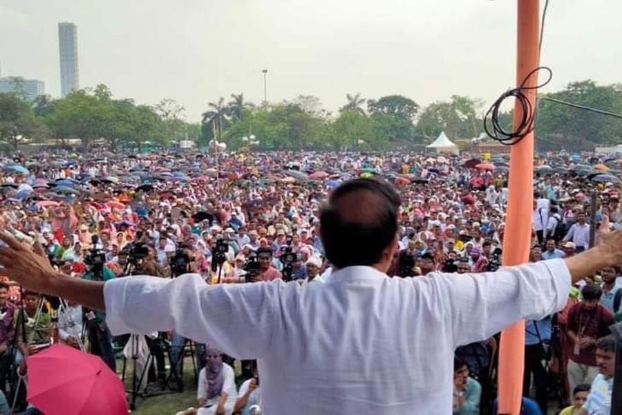 নিজস্ব চিত্র।