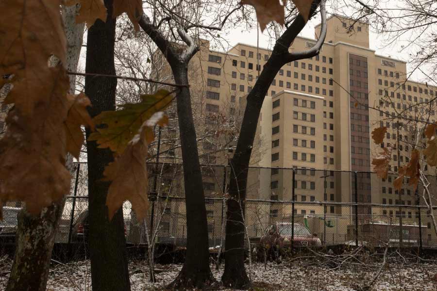 photo of Butcher of Tompkins Square