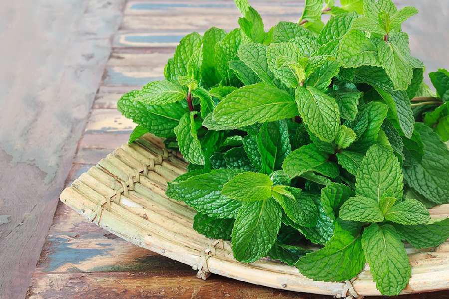 herbs and spices can reduce bloating