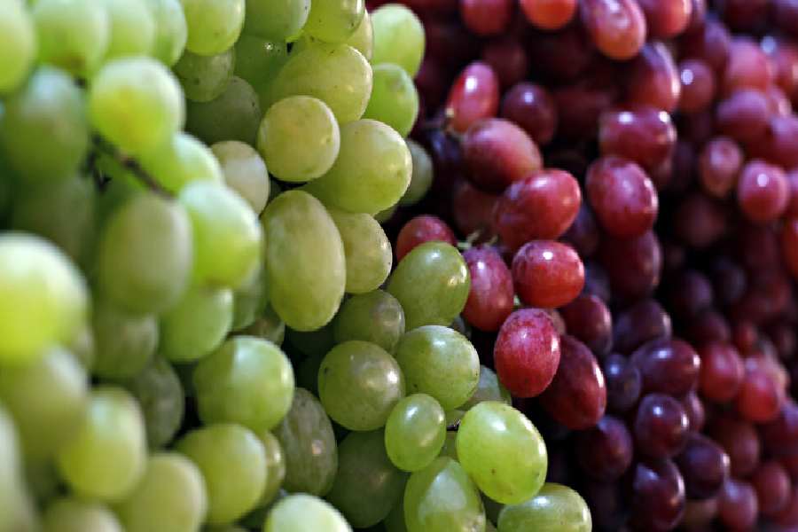 Image of Grapes.