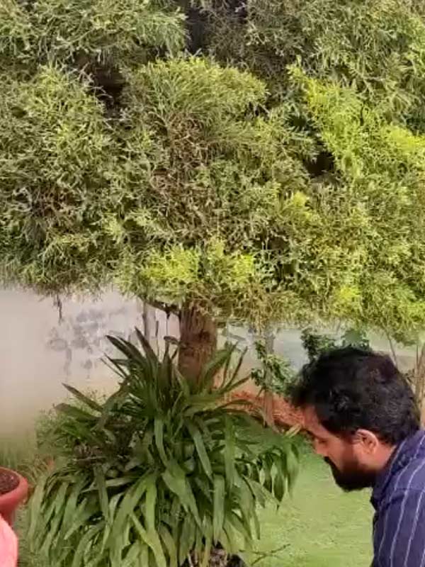 Image of cash recovered from a tree in karnataka