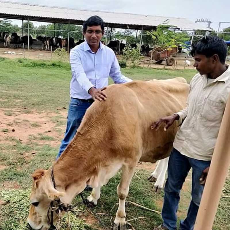 কিশোরের জন্ম হায়দরাবাদের এক মধ্যবিত্ত পরিবারে। বাবা বেসরকারি সংস্থায় ইঞ্জিনিয়ার। হায়দরাবাদে বেড়ে ওঠা কিশোর খড়্গপুর আইআইটি থেকে রসায়নে ডিগ্রি লাভ করেন। এর পর উচ্চশিক্ষার জন্য আমেরিকা পাড়ি দেন।