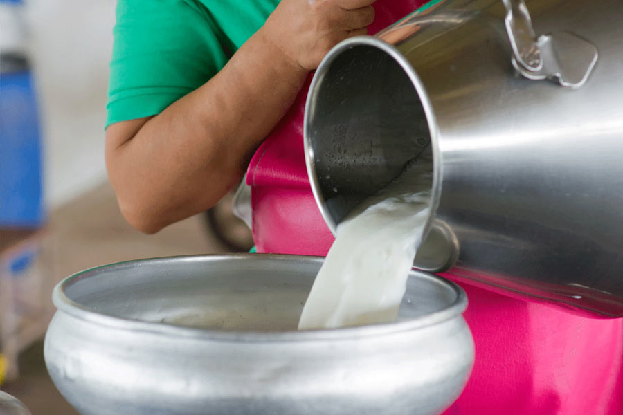 ১ লিটার দুধের দাম ১৫ টাকা রাখলেও তা তৈরি করার খরচ ছিল ৩০ টাকা। তবে গোড়ায় লোকসানের মুখ দেখলেও ব্যবসা চালু করতে প্রায় সব কিছুই করেছেন কিশোর।