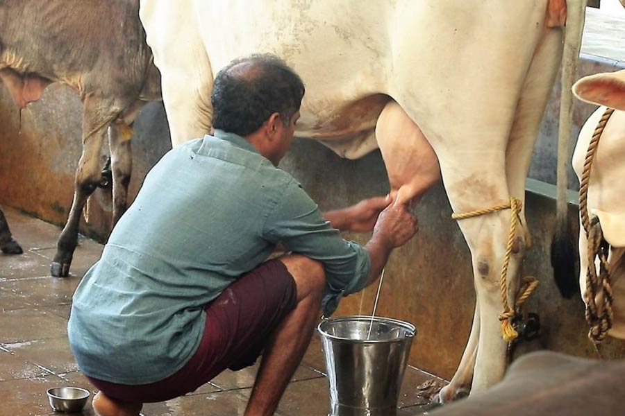 নিজের সংস্থার বাজার ধরতে গোড়ায় মার্কেটিং দল ছিল না কিশোরের। ফলে নিজেই শুরু করেছেন বিপণন। ক্রেতাদের বলতেন, তাঁর সংস্থার দুধে জল মেশানো নেই। নেই ক্ষতিকারক হরমোনের উপস্থিতি।