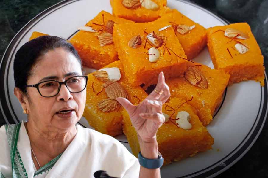 Mamata Banerjee asks people of Maldah to make curd and sweets from Mango.