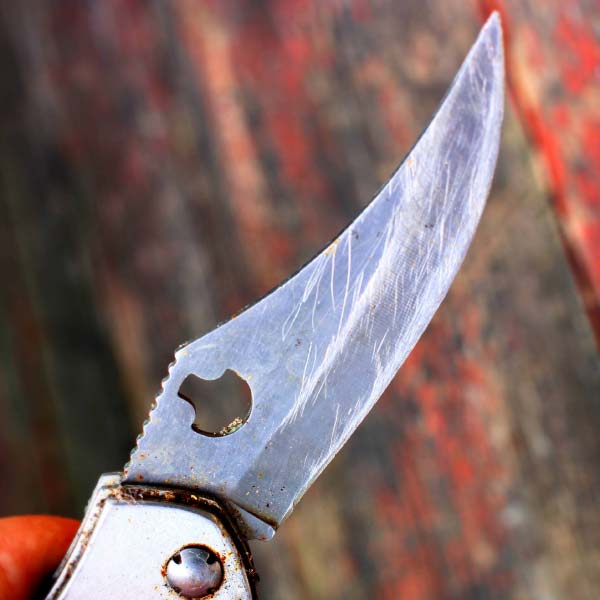 representative photo of crime