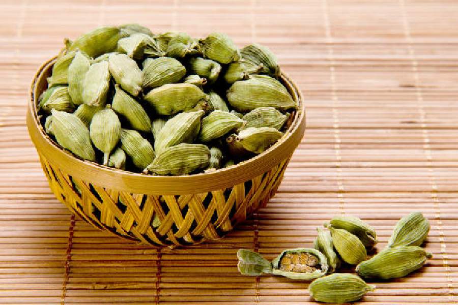 cardamom