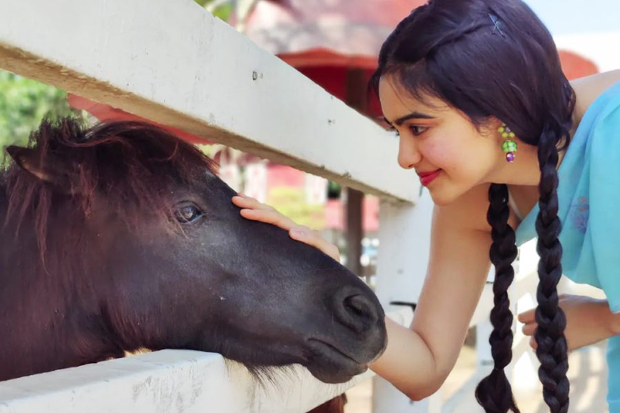 Who is Adah Sharma who was casted in controversial movie The Kerala Story.